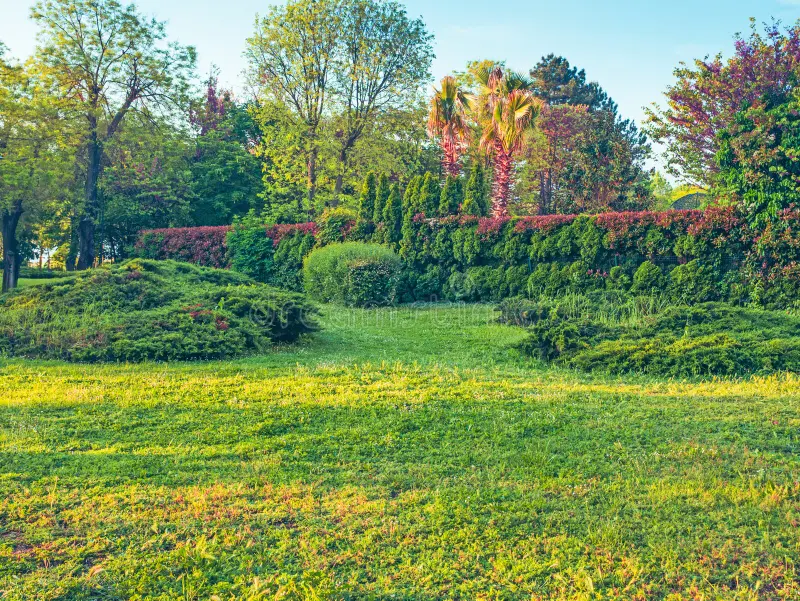 Villa Smeralda: Un’Armonia tra Pietra e Flora